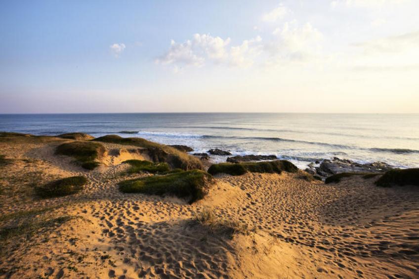 Maison à Saint-Gilles-Croix-de-Vie - foto 33