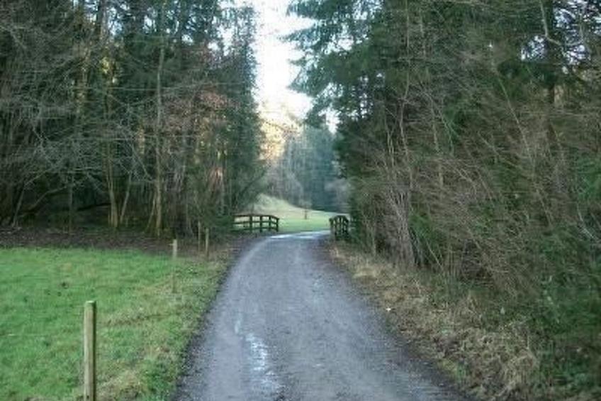 Das Blaue Haus in Hohenweiler - foto 6