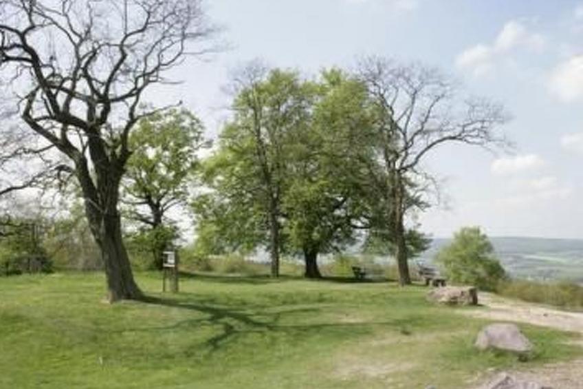 Zum Mensfelder Kopf - foto 32