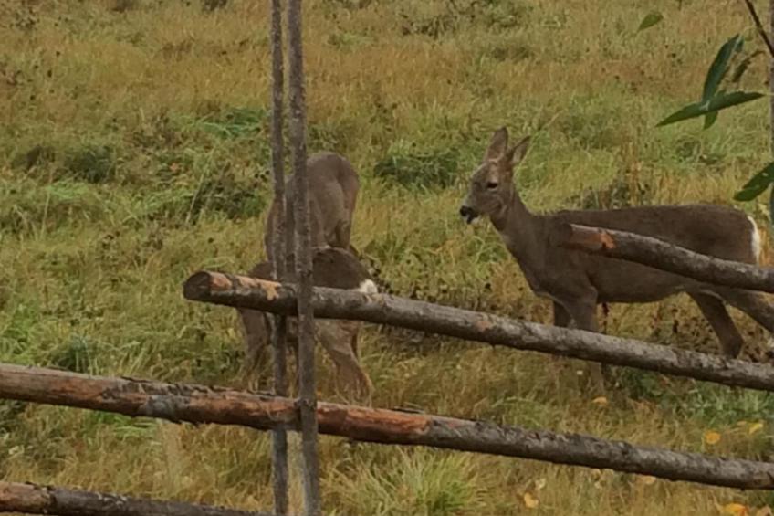 Haus Gård Solhag - foto 24