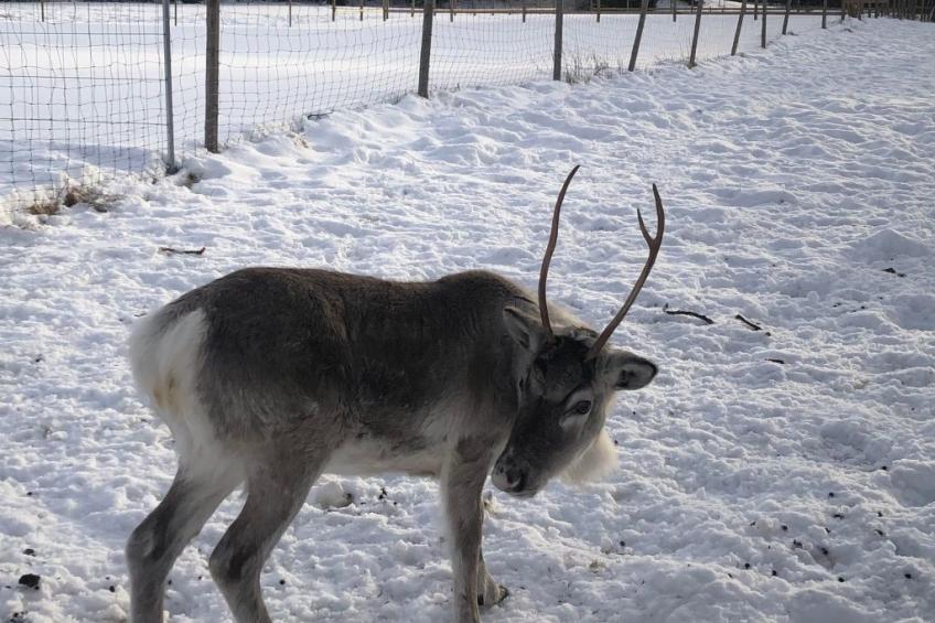 Ölrun Stuga - foto 36