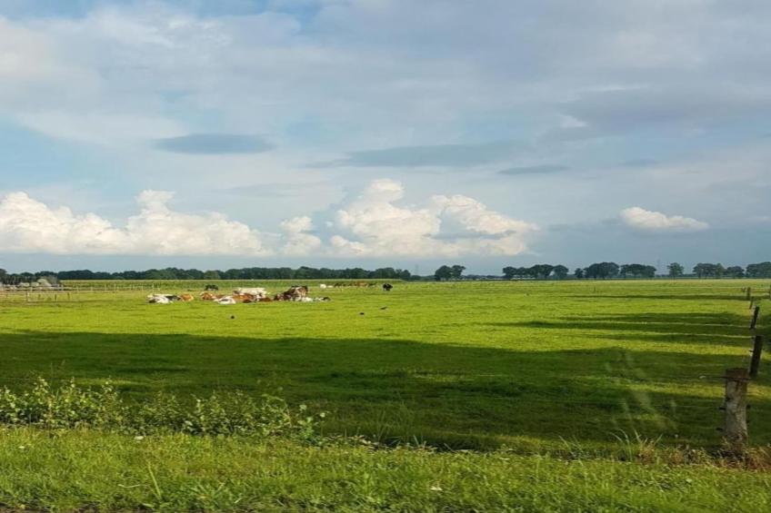 Buitenplaats Gerner 8 - foto 37