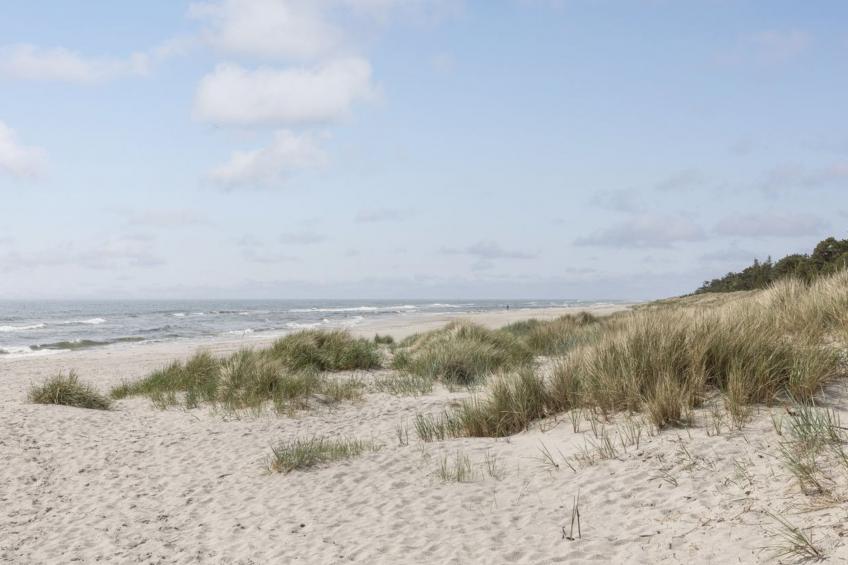 "Lucjan" - 200m from the sea in Bornholm - foto 26