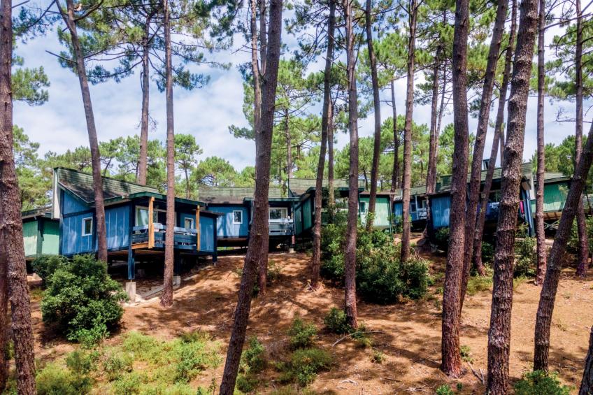 Les Cavales - foto 4