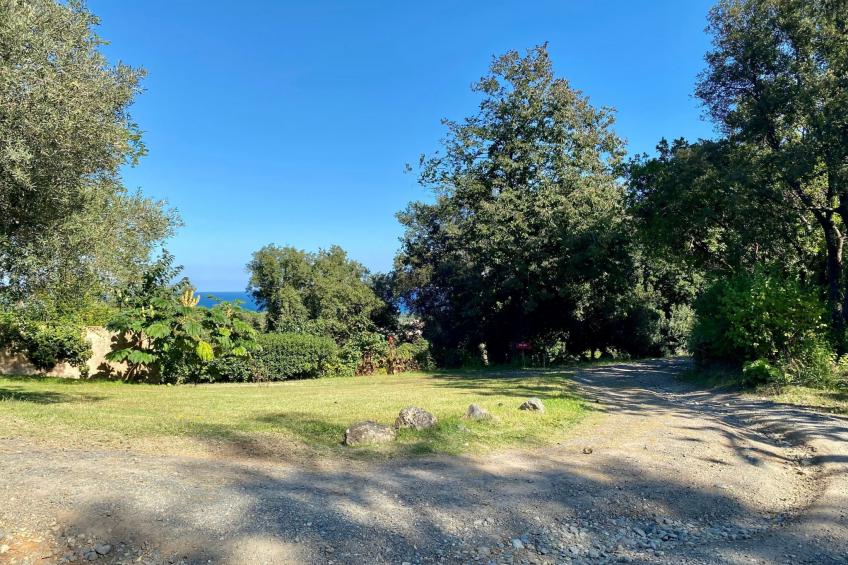 Weingut Punta della Guardia Panorama von Macchia und Meer - foto 22