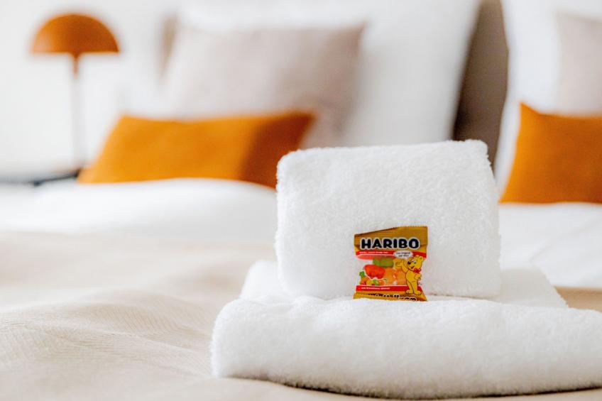 Highlight - Come4Stay - Mühldorf Stadtblick - foto 44