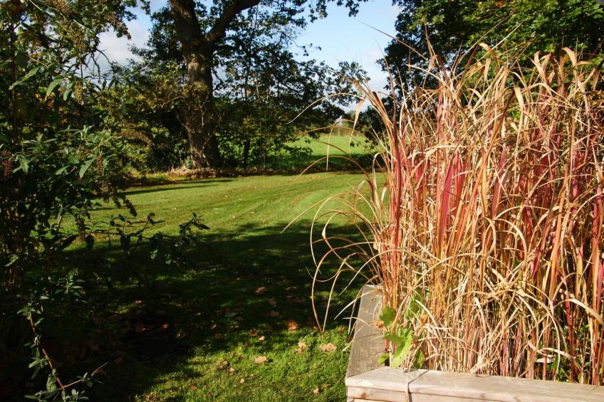 Vogelspotlodge Scholekster - foto 29