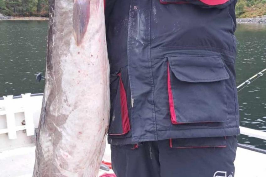 Stabben Blue House - foto 34