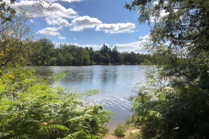 direkt am Strand - foto 41