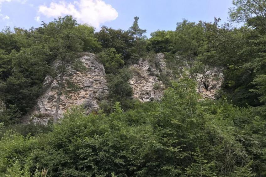 Waldferienpark Gerolstein 1 - foto 36