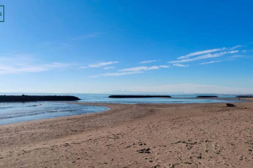Villa T3 à 400m De La Plage Avec Piscine - foto 39
