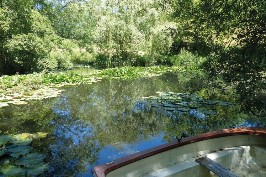 La Ferme des Paons - foto 33