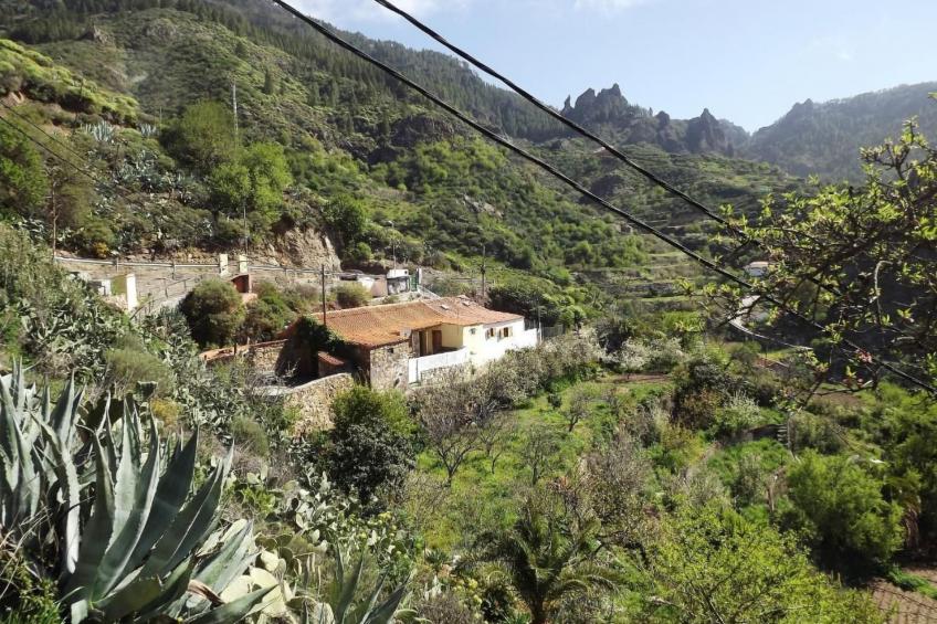 Landhaus Pepita la de las flores - foto 37