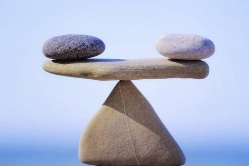 Fischer Fritz 2 - foto 26