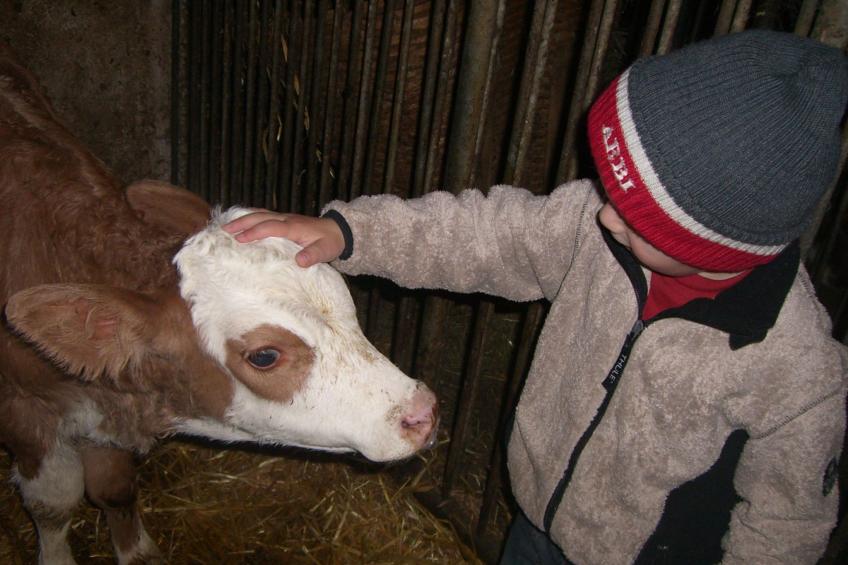 Kompatscherhof - foto 3