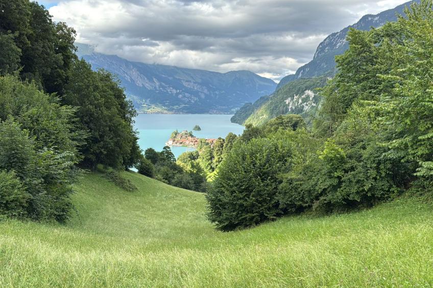 „Seesicht“ - foto 31