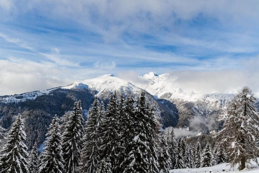 Almhütte Enzian - foto 31