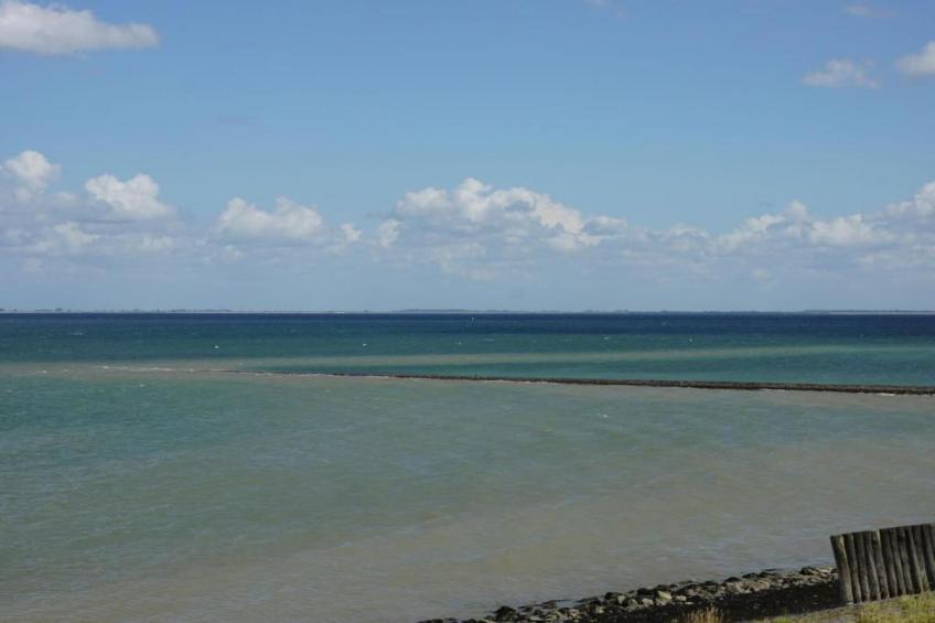 Cardium 33 - foto 41