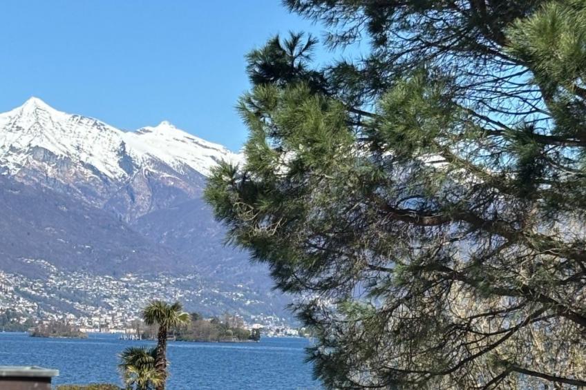 See-Penthouse - foto 36