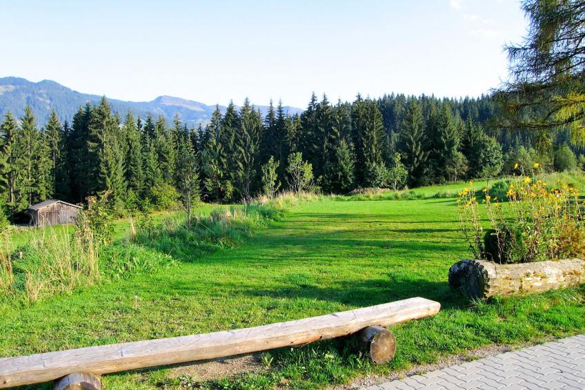 Schwalbenhof (WIL330) - foto 36