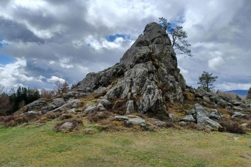 Vogl - foto 33