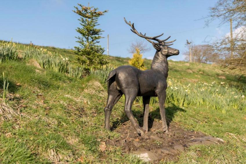 Five Waterings - foto 39