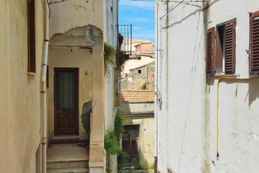 'The Garden - foto 31