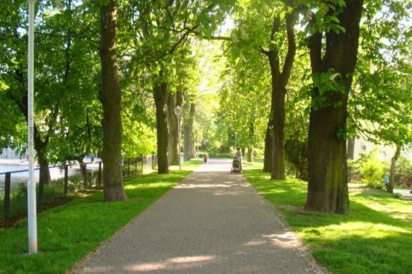in ruhiger Lage im Erzgebierge - foto 12