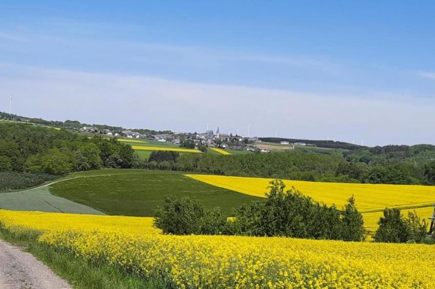 Kaifenheimer Mühle - foto 33