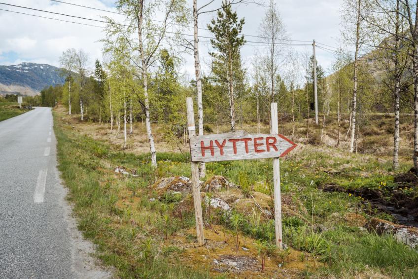 Myravatnet (FJS051) - foto 30