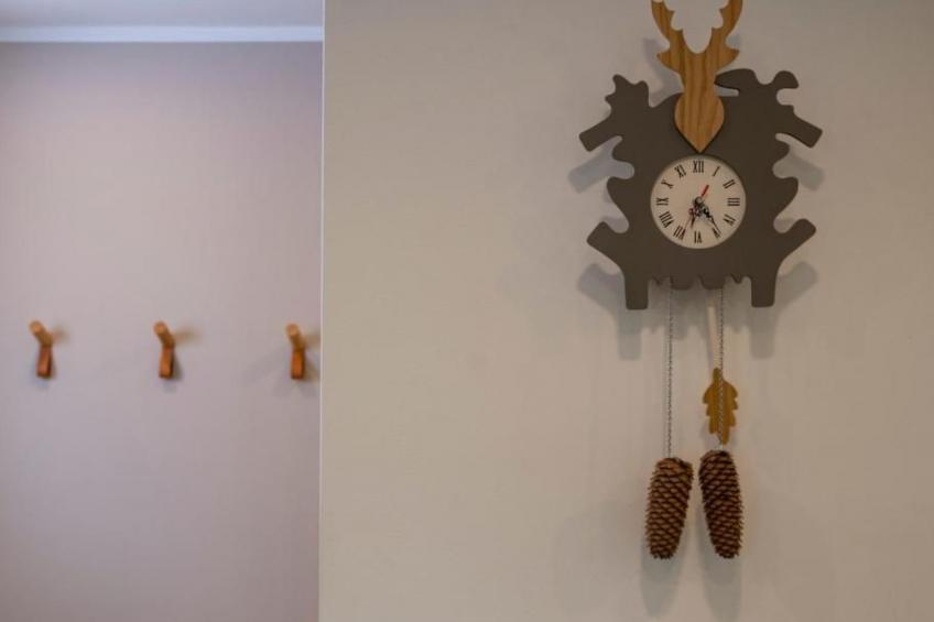 Fewo Am Sommerberg - foto 9