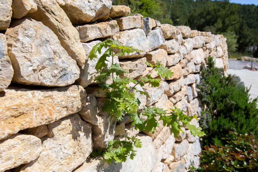 Villa Royal A1 - foto 4