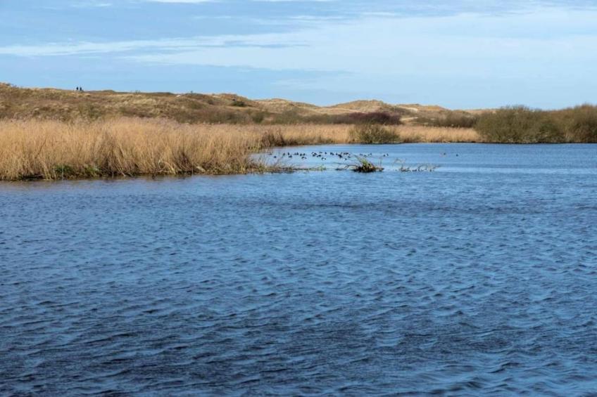 De Schelp 21 - foto 26