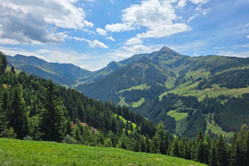 EAGGA-Niederleger Alm - foto 41