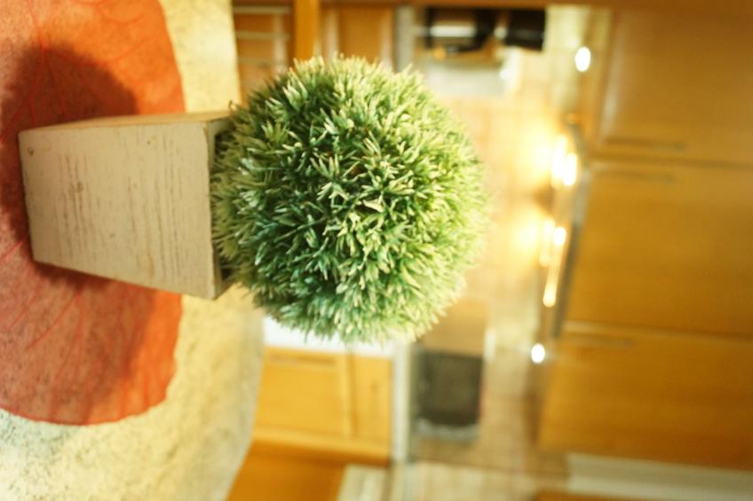 Monterosa in Baden-Baden - foto 13