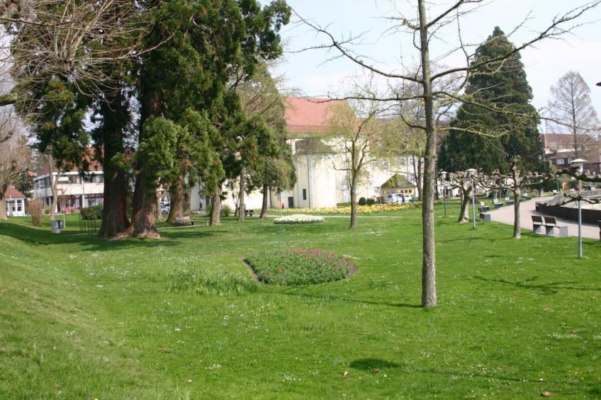 427799 - foto 30