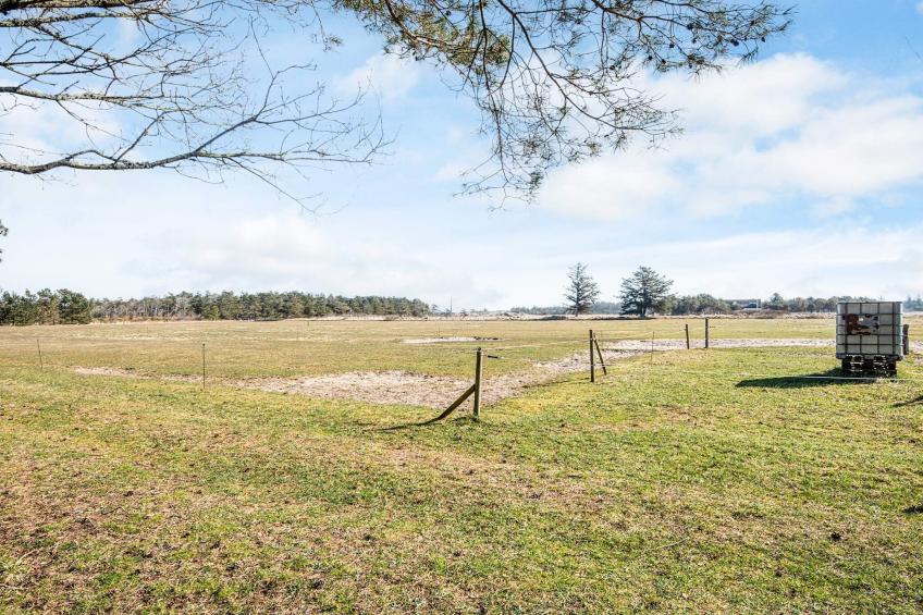 Skovhytte 4 personer - foto 16