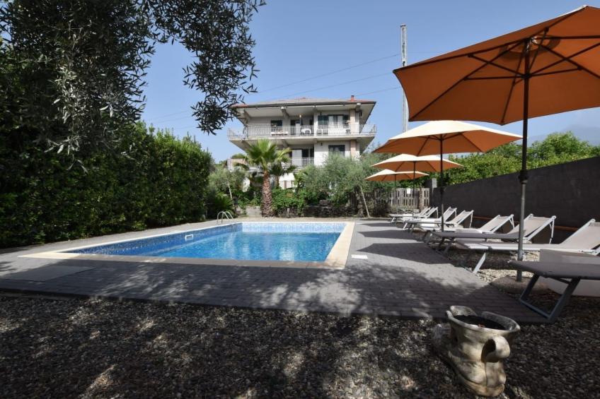 Le Palme in linera - foto 6