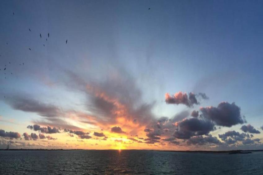 Villapark De Koog 2 - foto 34