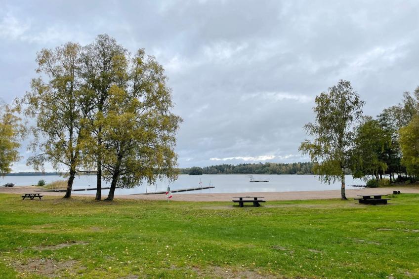 BF-MYRN7 - foto 8