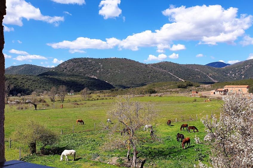 mit privatem Pool - foto 42