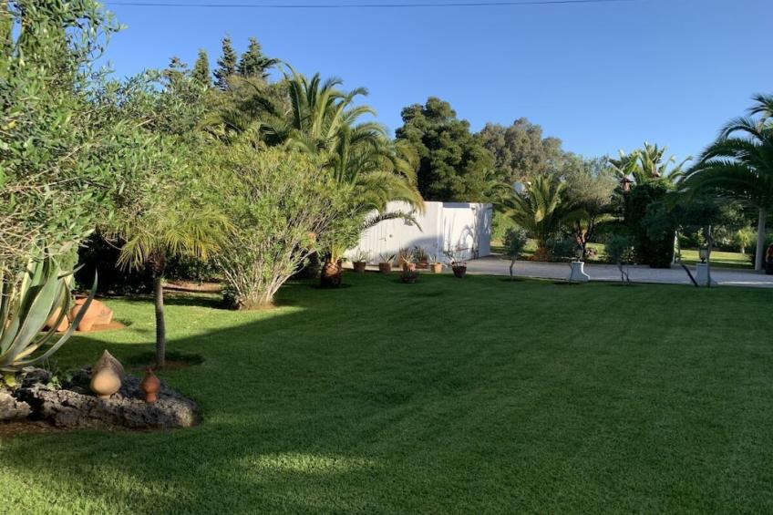 475475 - foto 3