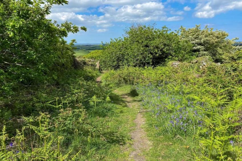 Jubilee Barn Cottage at Bodmin Moor - foto 14