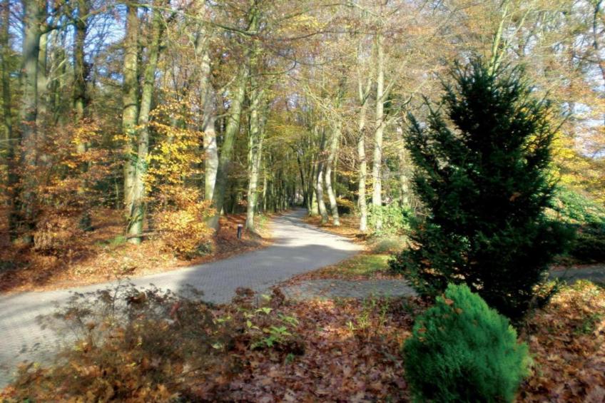 Vakantiepark De Lochemse Berg 1 - foto 21