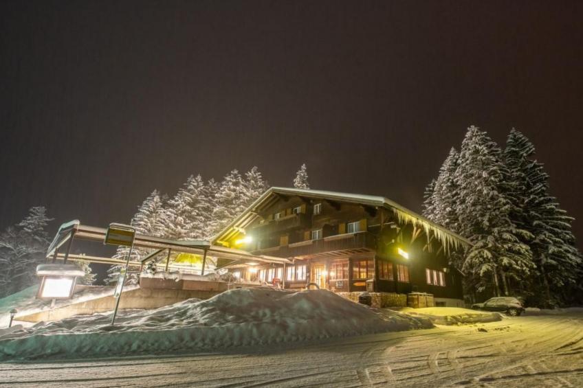 Steinadler - foto 15