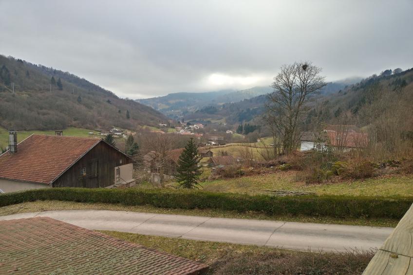 Le Renard - foto 15