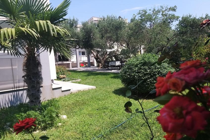 Eleani 2 - foto 33