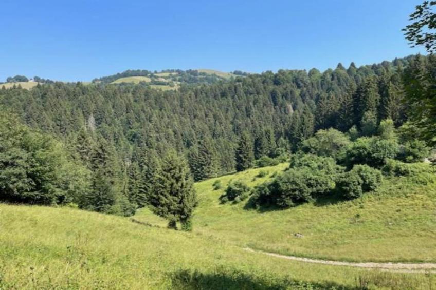 Villa Fiorita Uno - foto 35