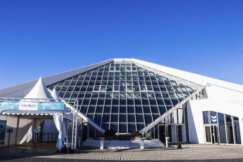 Kleine Wohnung in großem Familienhaus - foto 30