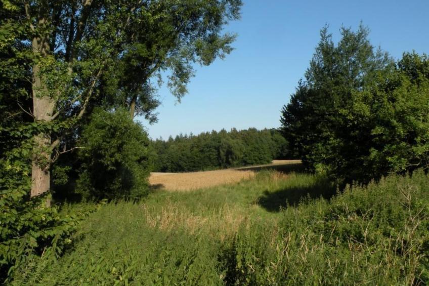 Hof Rodenkrog Fewo 1 - foto 26